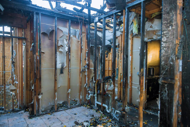 Professional Fire Damage Repair technician working in Somerset, MD
